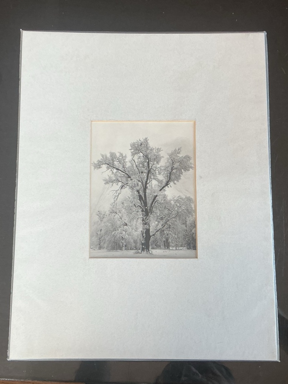 Ansel Adams Print, Oak Tree, Snowstorm